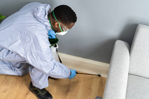 Best Indoor Pest Control  in Indio, CA